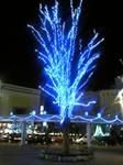 081214_211727_ed.jpg