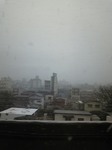 090124_113139_ed.jpg